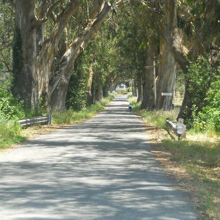 Pescadero Creek Inn Dış mekan fotoğraf