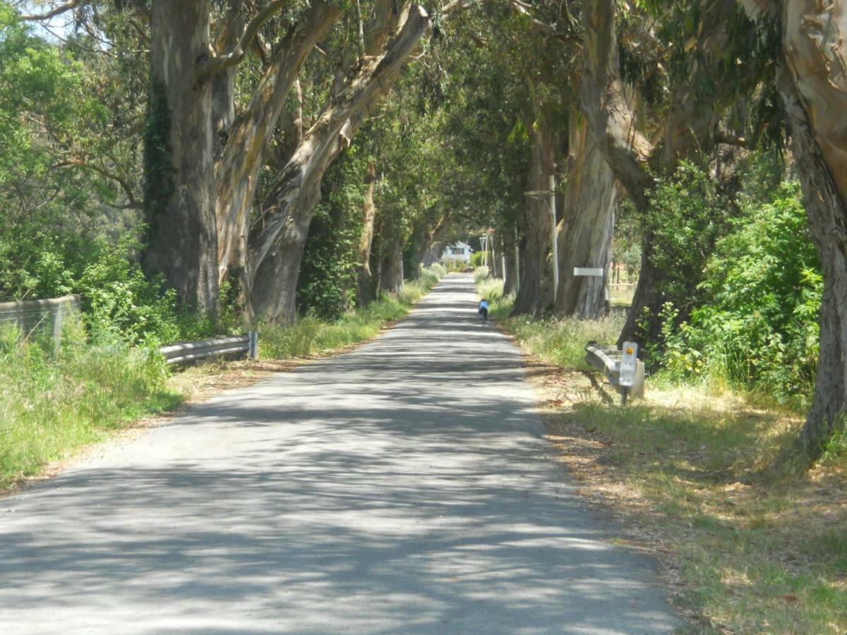 Pescadero Creek Inn Dış mekan fotoğraf